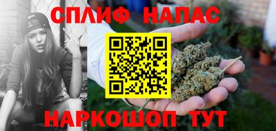 дмт Будённовск