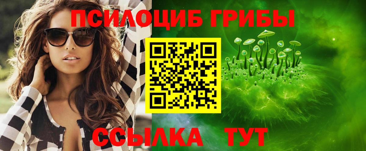Псилоцибиновые грибы Искитим