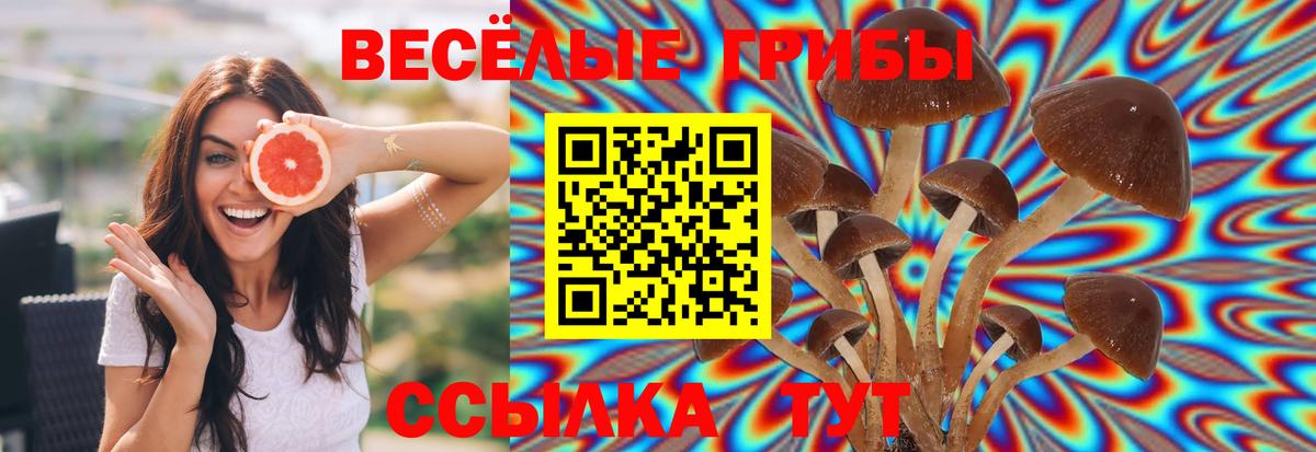Псилоцибиновые грибы ЛСД  где продают наркотики  Искитим  Вход с VPN 